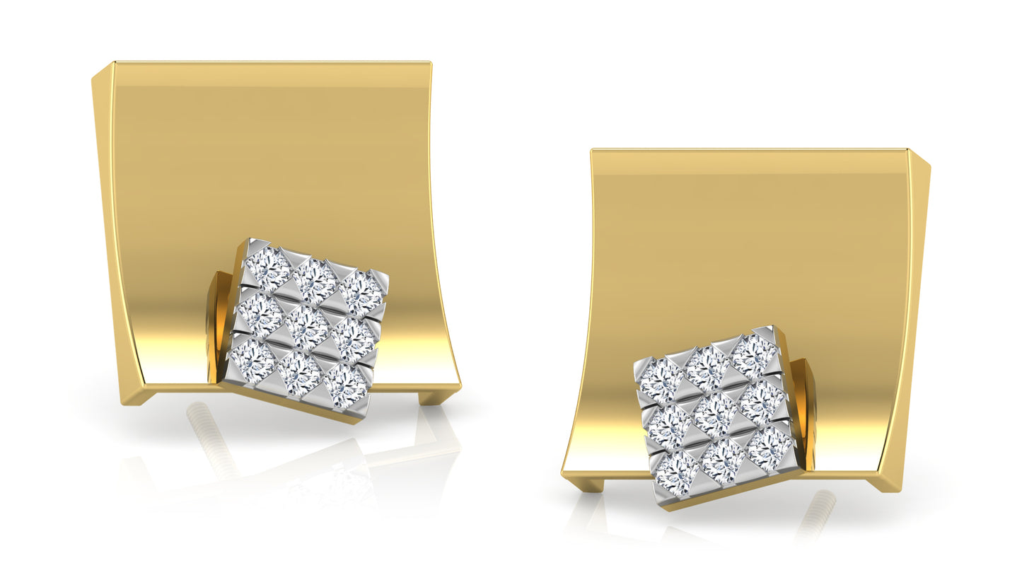 Shining Gallery Diamond Earrings