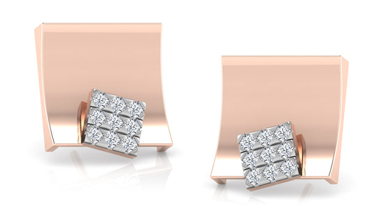 Shining Gallery Diamond Earrings